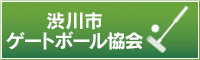 渋川市ゲートボール協会